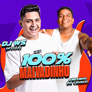 100% Mavaldinho