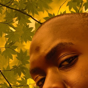 Rnx(Freestyle) (Explicit)