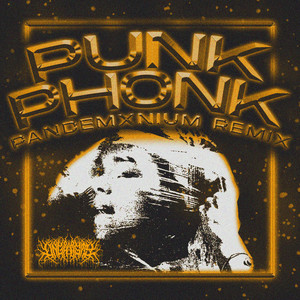 PunkPhonk (PANDEMXNIUM Remix|Explicit)