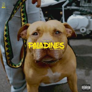 PALADINES X CARGHTY (feat. Adrian Montoya & Jolta) (Explicit)