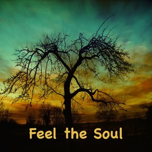 Feel the Soul