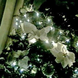 december (feat. eternal)