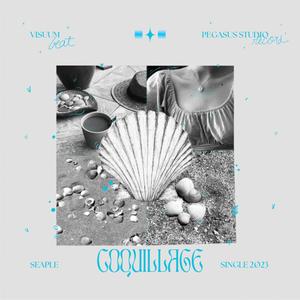 COQUILLAGE