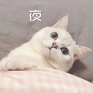 意浓 (经典版)