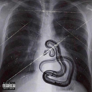 We Love You Snake (Explicit)