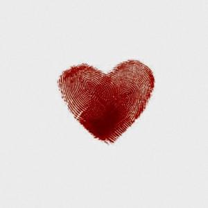 Not a Love song (feat. niccc) (Explicit)