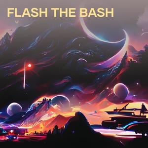 Flash the Bash