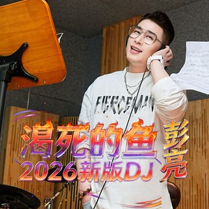 渴死的鱼 (DJ越南鼓版)封面