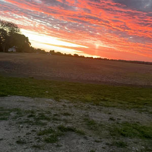 Saggitarius (Explicit)