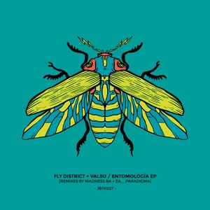 Idomantis Diabolica (Original Mix)