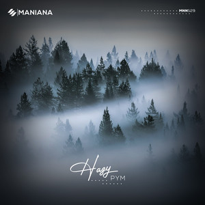 Hazy (Instrumental Mix)