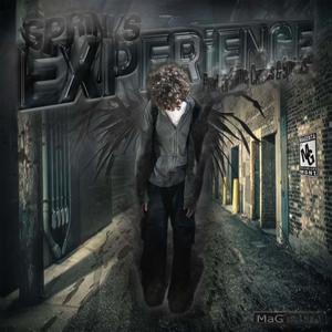 EXPERiENCE (Explicit)