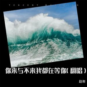 你来与不来我都在等你