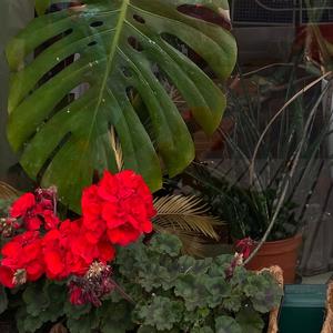 Lifetimes (feat. Zelda)