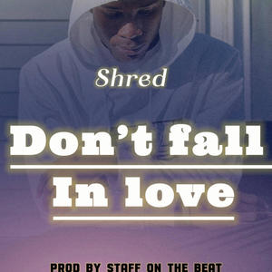 Don't fall in love (Explicit)