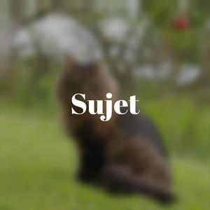 Sujet