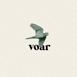 Voar