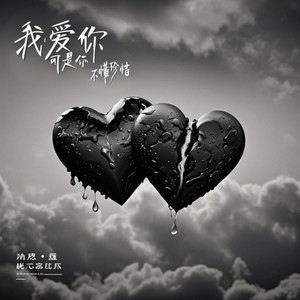 我爱你 (可是你不懂珍惜)