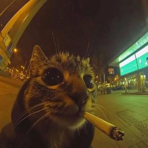 EATFIRSTTHINKLATER (Explicit)