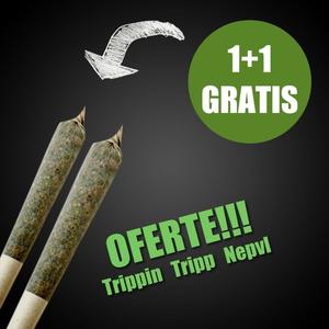 Oferte (feat. Trippydadrippy & khovy) (Explicit)