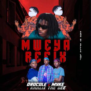 Voltz JT & Tha Bees Mweya (feat. Myke The Gee & Khalix) (Refix)