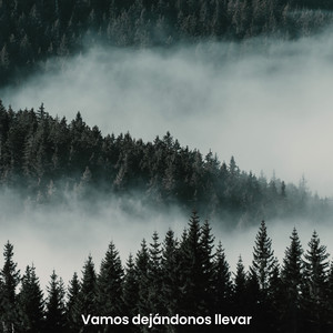Vamos Dejándonos Llevar