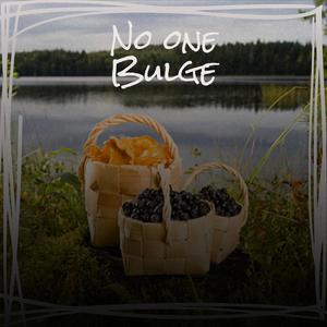 No one Bulge