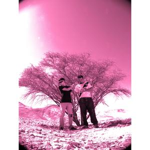 תמונת ניצחון