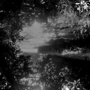 thy (feat. Marco Lowell)