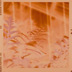 JUST LET ME WRITE A LETTER TO U