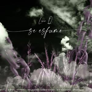 Se Esfumó(feat. Kenny Seen)