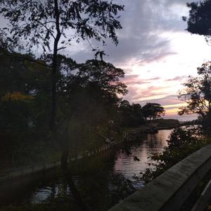 On My Own (feat. emptychest & lil XipZ) (Explicit)