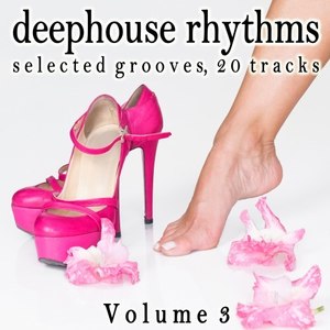 Deephouse Rhythms, Vol. 3