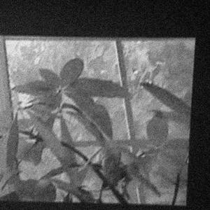 i think (feat. trustt) (flip) (Explicit)