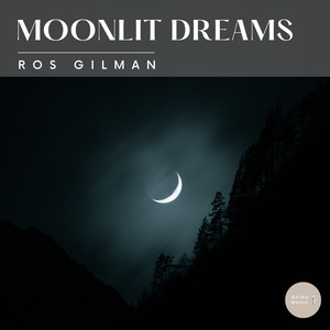 Moonlit Dreams