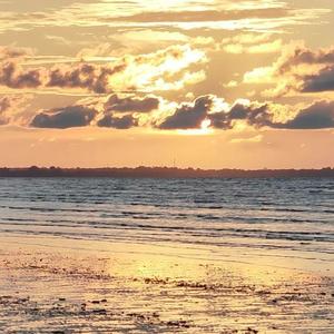 人生的旋转木马