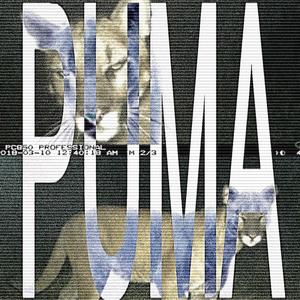 PUMA (feat. Dwayne12k) [Explicit]