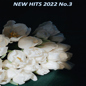 Memories (Smiling Tears) (New Ver.)