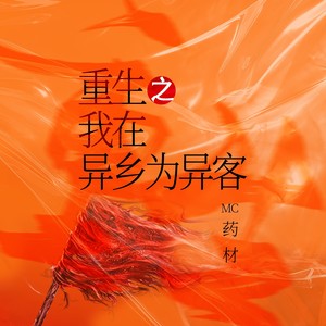 重生之我在异乡为异客 (MC药材版)