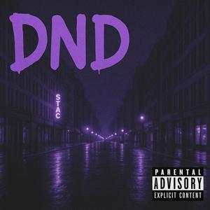 DND (feat. Rizzovg & Aum1k) (Explicit)