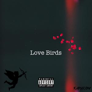 Love Birds (Explicit)