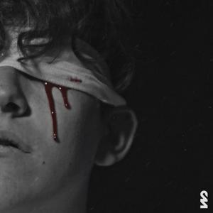 Farewell (feat. V?k)