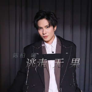 逃走无果