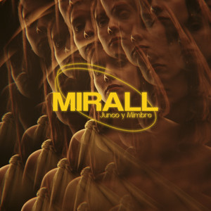 Mirall