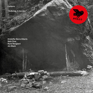 ...Back Towards The Car - Night