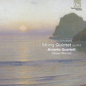String Quintet in C Major, Op. 163 D. 956 - String Quintet in C Major, Op. 163 D. 956: I. Allegro ma non troppo