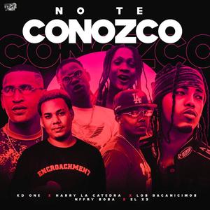 No Te Conozco (feat. Harry La Catedra, Los Bacanisimos, X3 LA LECHE & nfrry sosa)