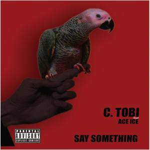 Say Something (feat. aceice)