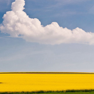 谁让我就是需要你