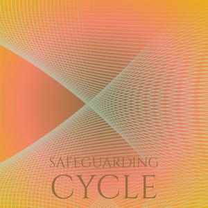 Safeguarding Cycle